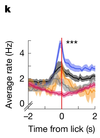 Open access visualization of Line Plot, Average rate, Time from lick, Neural activity, Sensory processing