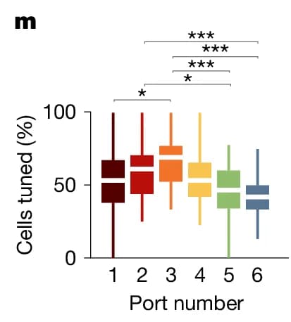 Open access visualization of Box Plot, Cells Tuned, Port Number, Statistical Significance, Group Comparison