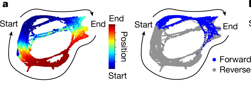 Open access visualization of Scatter Plot, Position, Trajectory, Forward, Reverse
