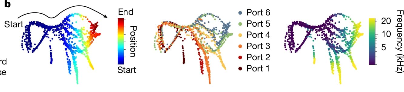 Open access visualization of Scatter Plot, Trajectory, Position, Port, Frequency