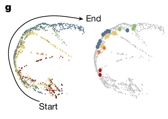 Open access visualization of Scatter Plot, Trajectory, Start, End, Progression