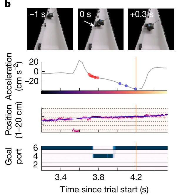 Open access visualization of Line Plot, Dot Plot, Image, Acceleration, Position
