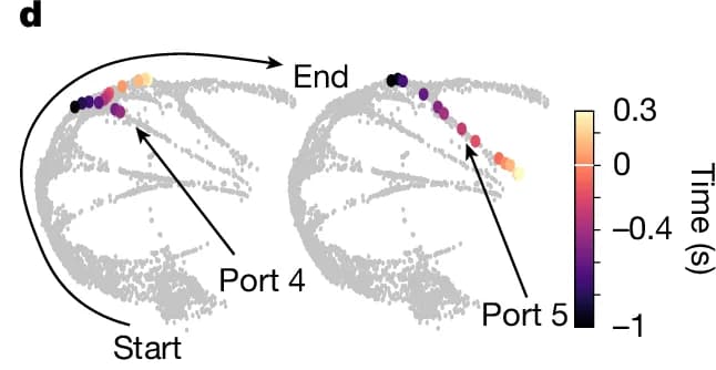 Open access visualization of Scatter Plot, Trajectory, Port 4, Port 5, Start