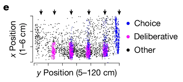 Open access visualization of Scatter Plot, x Position, y Position, Choice, Deliberative