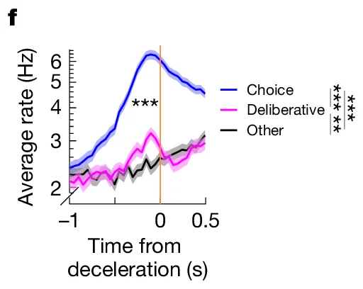 Open access visualization of Line Plot, Average rate, Choice, Deliberative, Deceleration