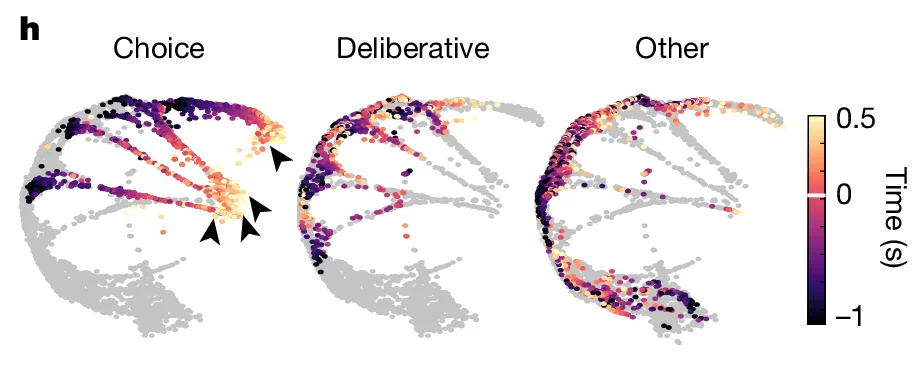 Open access visualization of Scatter Plot, time (s), Choice, Deliberative, Other