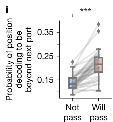Open access visualization of Box Plot, Paired Plot, Probability, Decoding, Position