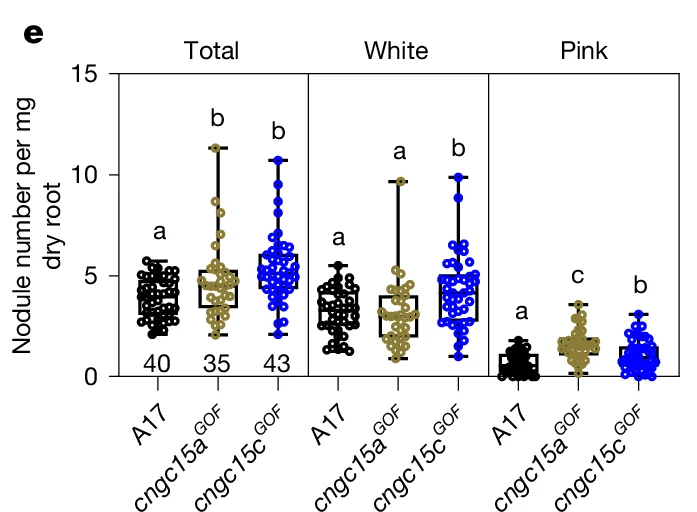 Open access visualization of Box Plot, Scatter Plot, Nodule number, Dry root, Total