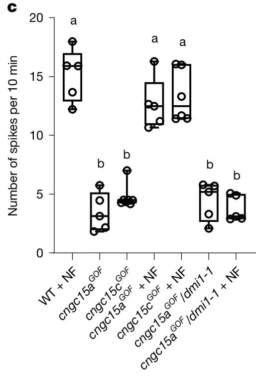 Open access visualization of Box Plot, Number of spikes, WT + NF, cngc15aGOF, cngc15cGOF + NF