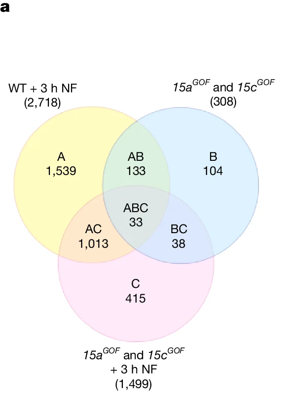 Open access visualization of Venn Diagram, WT + 3 h NF, 15aGOF and 15cGOF, 15aGOF and 15cGOF + 3 h NF, Differentially Expressed Genes