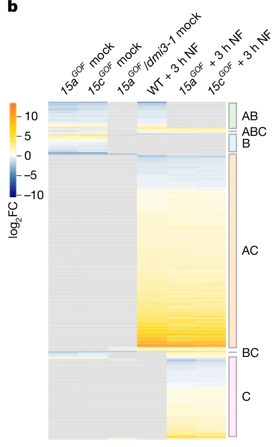 Open access visualization of Heatmap, log2 FC, 15aGOF mock, 15cGOF mock, 15aGOF/dmi3-1 mock