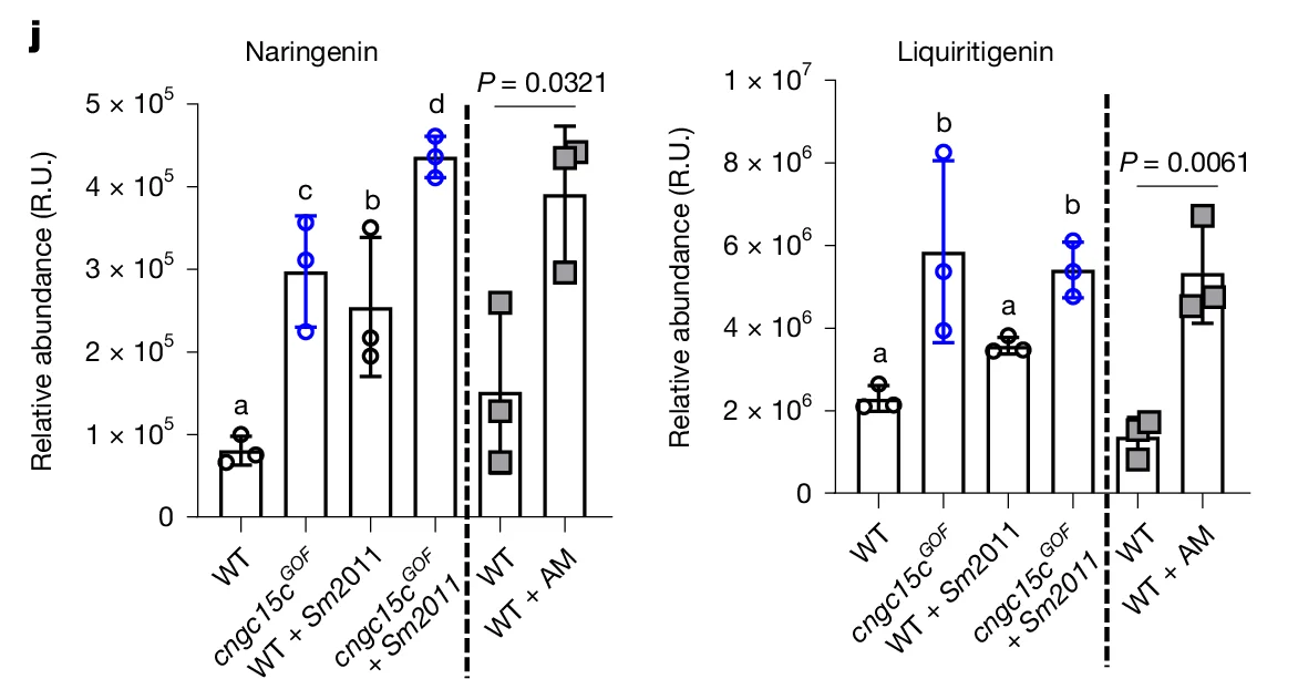 Open access visualization of Bar Plot, Dot Plot, Naringenin, Liquiritigenin, Relative abundance