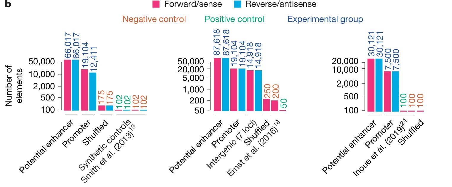 Open access visualization of Bar Chart, Number of elements, Potential enhancer, Promoter, Shuffled