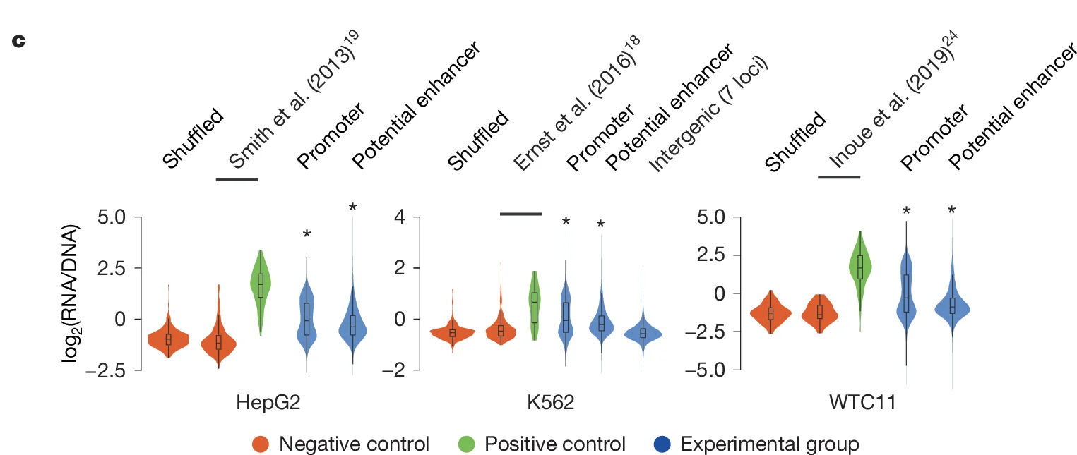 Open access visualization of Violin Plot, HepG2, K562, WTC11, Negative control