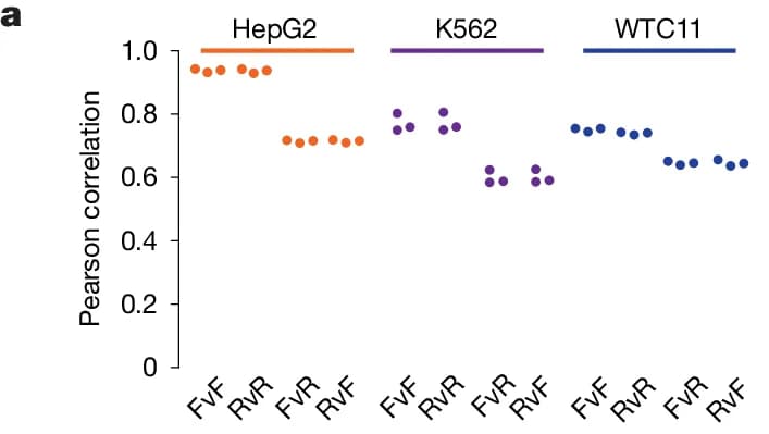 Open access visualization of Scatter Plot, Pearson correlation, HepG2, K562, WTC11