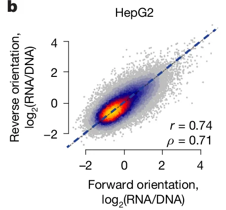 Open access visualization of Scatter Plot, Density Plot, HepG2, log2(RNA/DNA), Forward Orientation