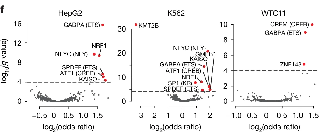 Open access visualization of Volcano Plot, HepG2, K562, WTC11, GABPA (ETS)