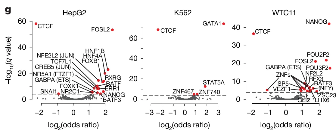 Open access visualization of Volcano Plot, HepG2, K562, WTC11, log2(odds ratio)