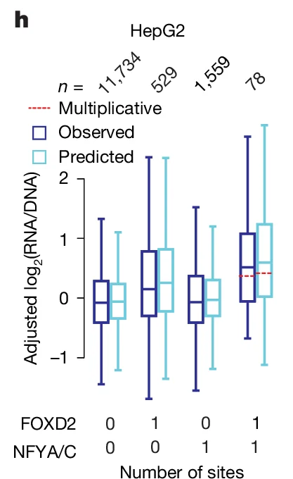 Open access visualization of Box Plot, Adjusted log2(RNA/DNA), Number of sites, HepG2, Observed