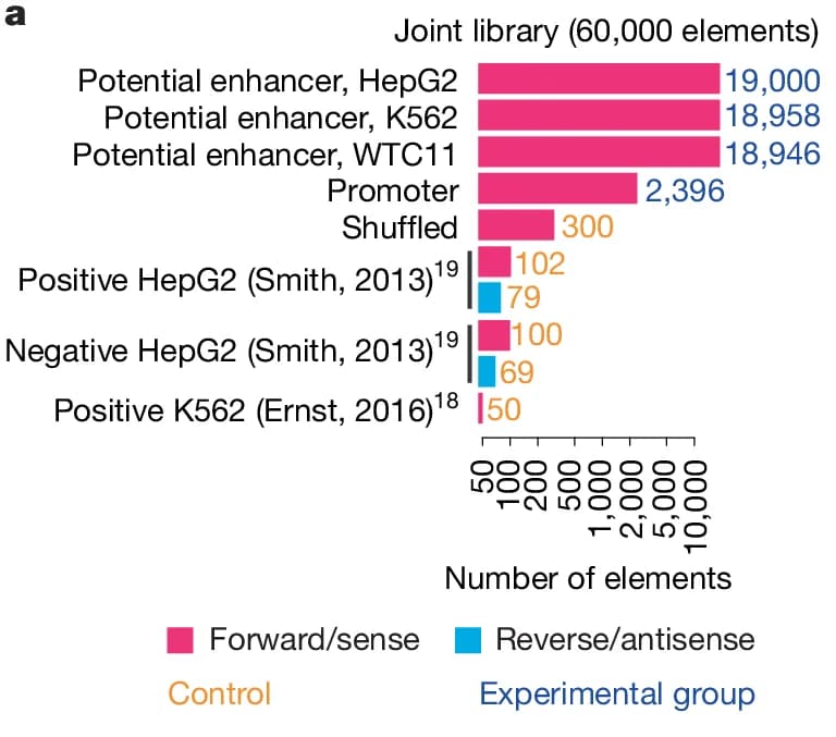 Open access visualization of Bar Chart, Number of elements, Joint library, Potential enhancer, HepG2