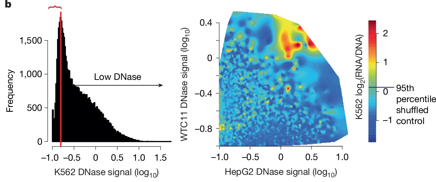 Open access visualization of Histogram, Contour Plot, DNase signal, K562 DNase signal, WTC11 DNase signal