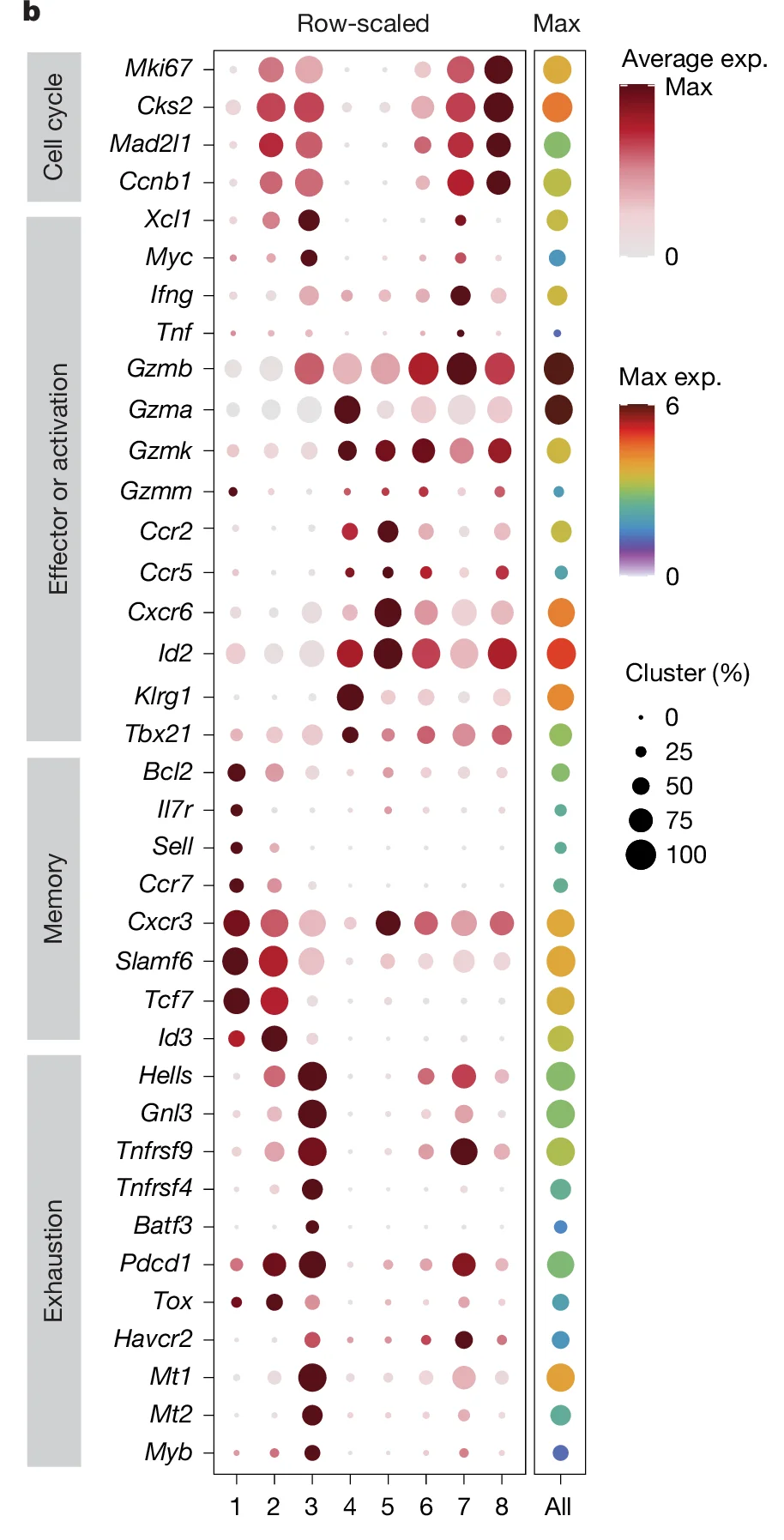 Open access visualization of Dot Plot, Gene Expression, Row-scaled, Cell cycle, Effector or activation