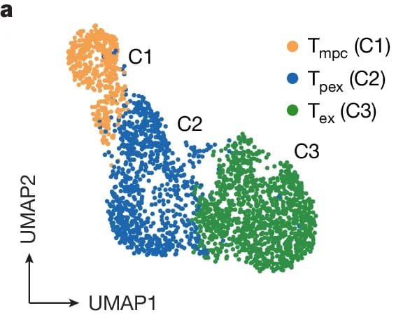 Open access visualization of Scatter Plot, UMAP, T mpc, T pex, T ex