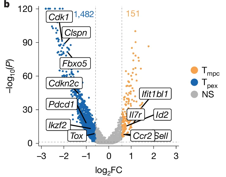 Open access visualization of Volcano Plot, T mpc, T pex, NS, Cdk1
