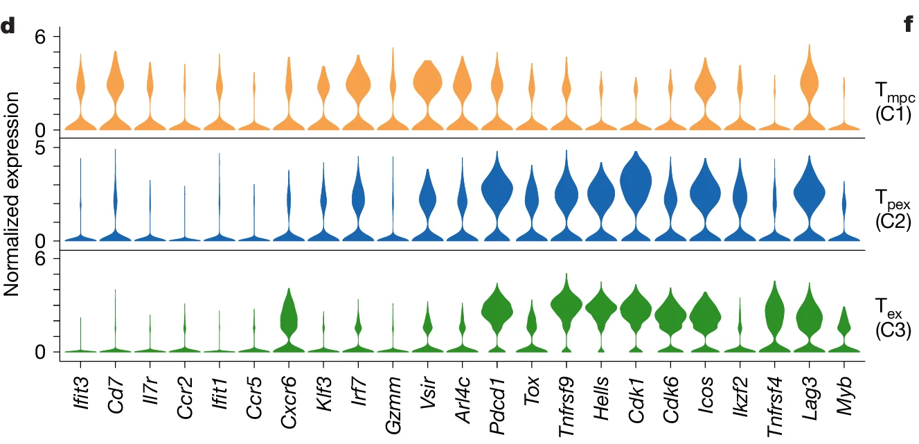 Open access visualization of Violin Plot, Gene Expression, Normalized expression, T mpc (C1), T pex (C2)