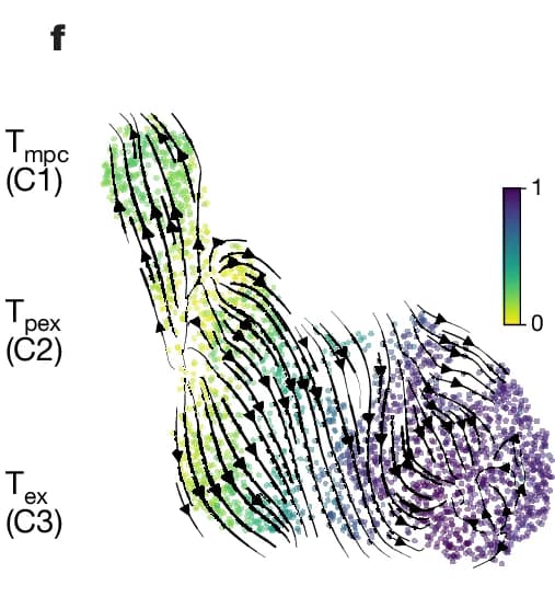Open access visualization of Scatter Plot, Streamlines, Cluster, T_mpc, T_pex