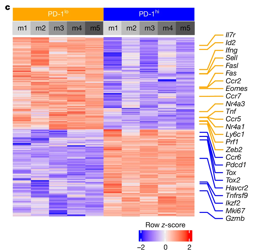 Open access visualization of Heatmap, Gene Expression, PD-1, Row Z-score, Il7r