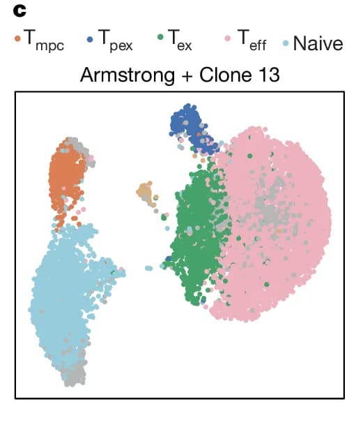 Open access visualization of Scatter Plot, T mpc, T pex, T ex, T eff