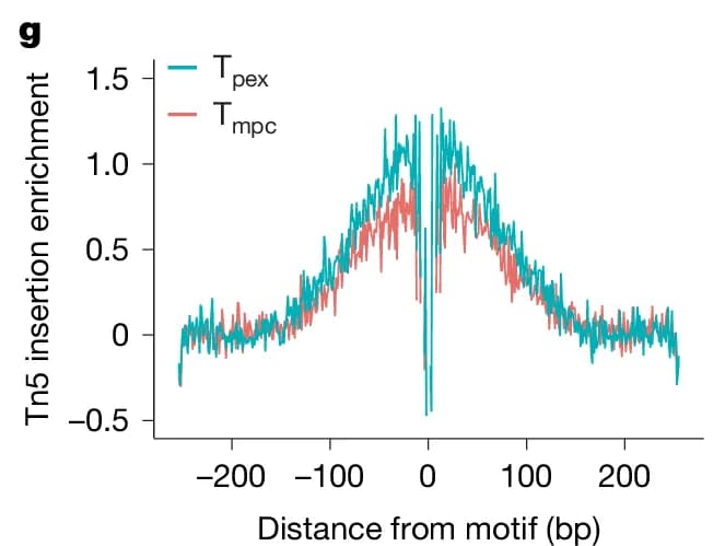 Open access visualization of Line Plot, Tn5 insertion enrichment, Distance from motif, Tpex, Tmpc