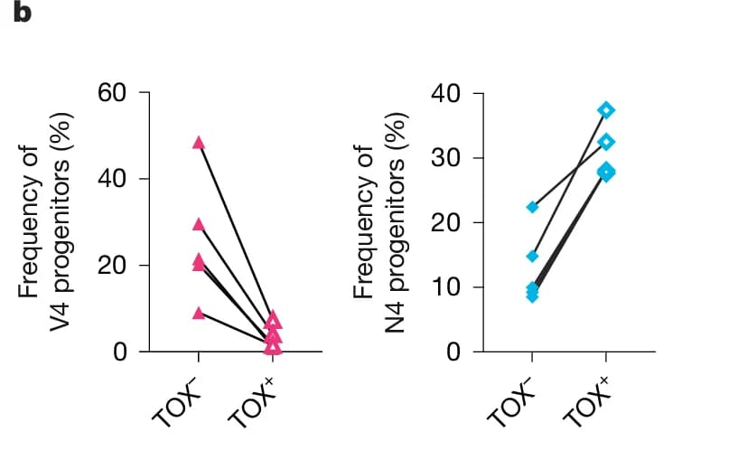 Open access visualization of Scatter Plot, Line Plot, Frequency of V4 Progenitors, Frequency of N4 Progenitors, TOX-
