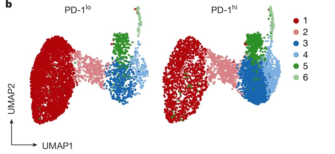Open access visualization of Scatter Plot, UMAP, PD-1, PD-1lo, PD-1hi