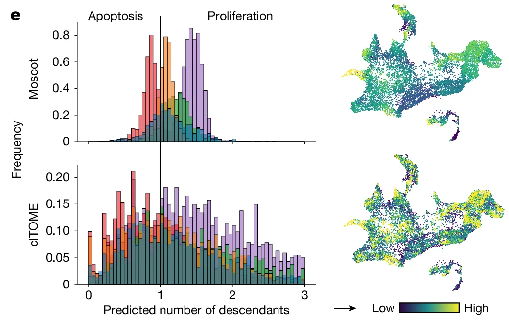 Open access visualization of Histogram, Scatter Plot, Stacked Bar Plot, Moscot, cITOME