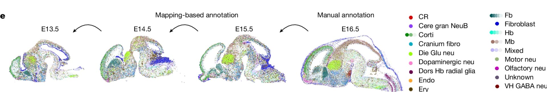 Open access visualization of Scatter Plot, Mouse Brain, E13.5, E14.5, E15.5