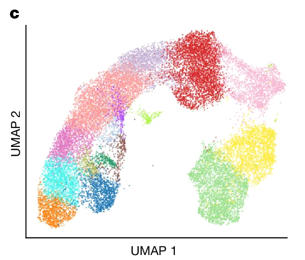 Open access visualization of Scatter Plot, UMAP, Cluster, Group, Embedding