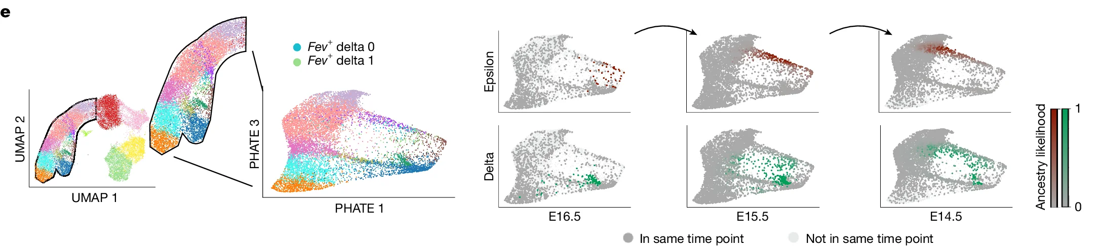 Open access visualization of Scatter Plot, UMAP, PHATE, Developmental Trajectory, Fev