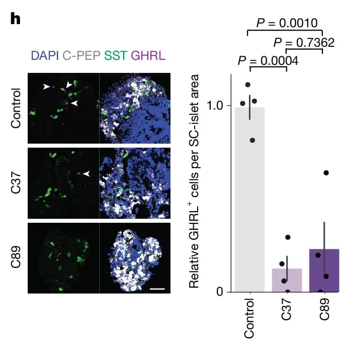 Open access visualization of Bar Chart, Immunofluorescence, DAPI, C-PEP, SST