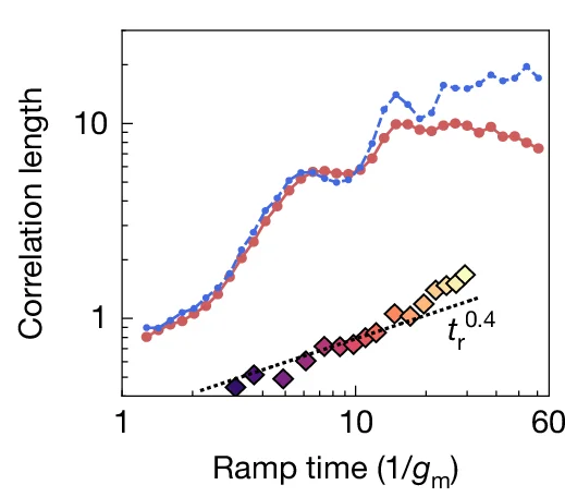 Open access visualization of Line Plot, Scatter Plot, Regression Plot, Correlation Length, KZ Predictions