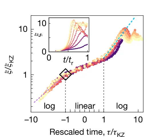 Open access visualization of Scatter Plot, Line Plot, Correlation Length, KZ Scaling, Finite-Size Effects