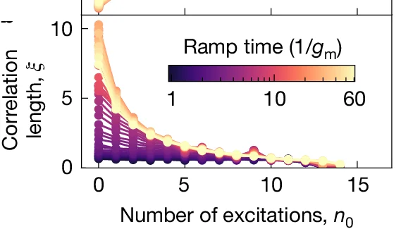 Open access visualization of Line Plot, Correlation Length, Initial Excitations