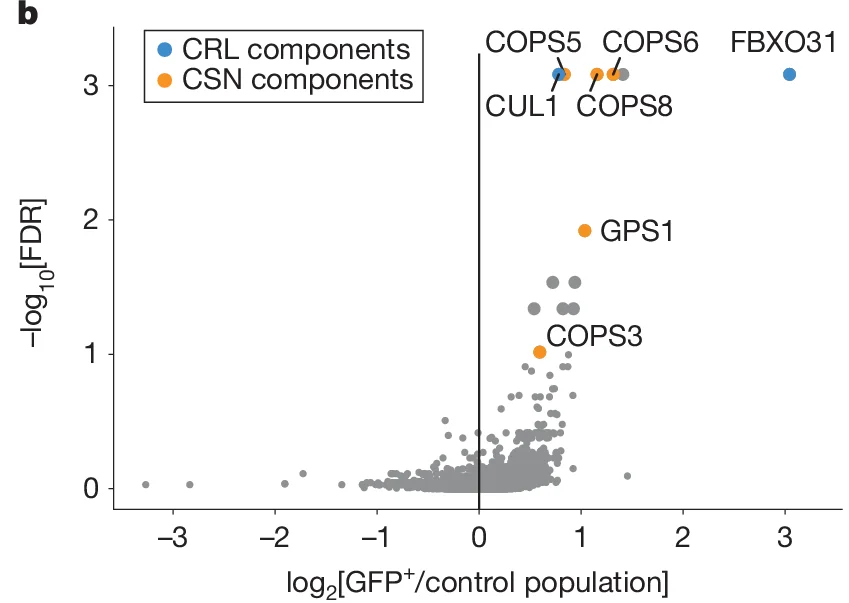 Open access visualization of Scatter Plot, CRL components, CSN components, COPS5, COPS6