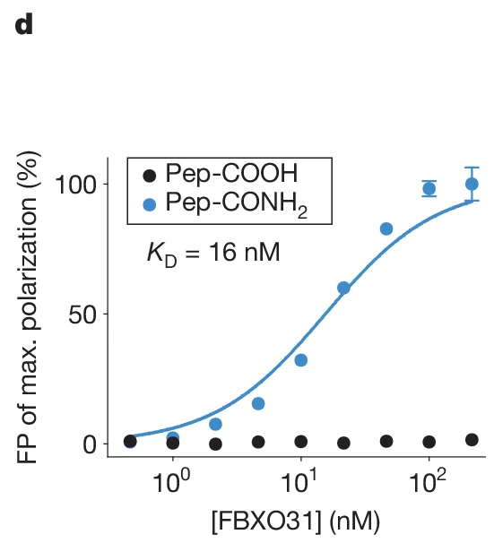 Open access visualization of Scatter Plot, Line Plot, Pep-COOH, Pep-CONH2, FBXO31