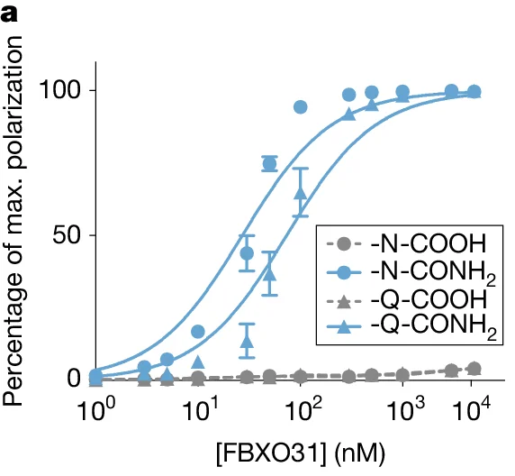 Open access visualization of Line Plot, Scatter Plot, Percentage of max. polarization, [FBXO31] (nM), -N-COOH