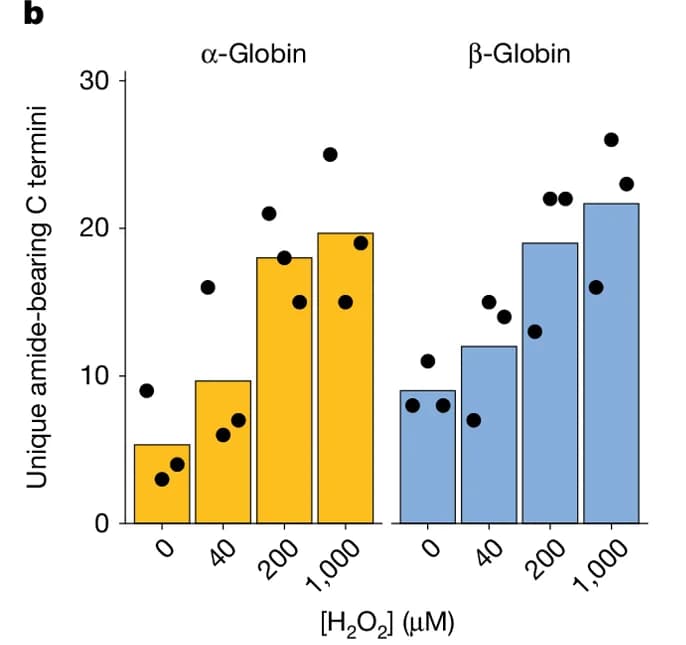 Open access visualization of Bar Plot, Scatter Plot, Alpha-Globin, Beta-Globin, Unique Amide-Bearing C Termini