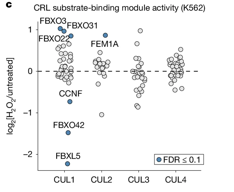 Open access visualization of Scatter Plot, CRL substrate-binding module activity, K562, log2[H2O2/untreated], FBXO3