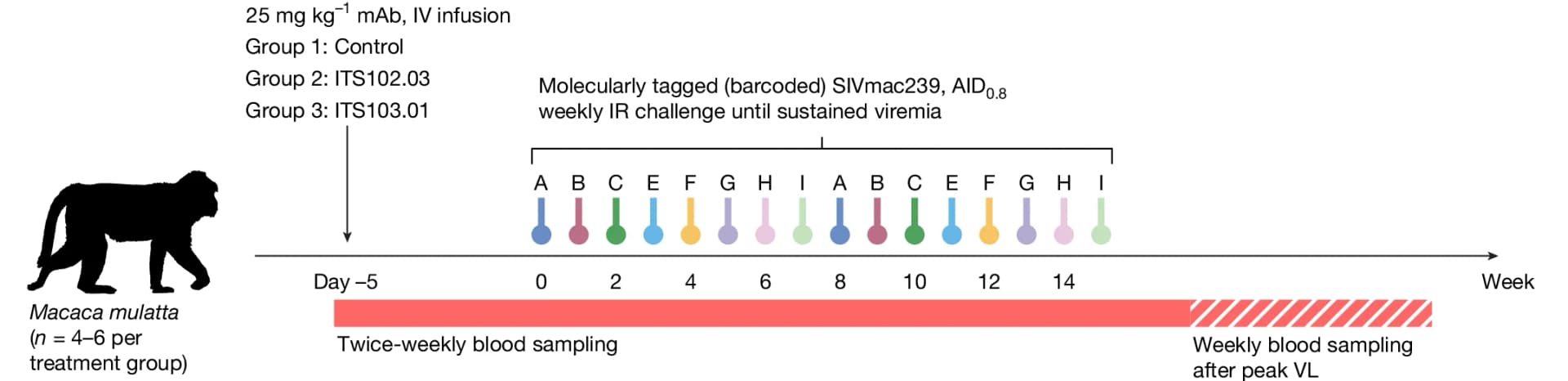 Open access visualization of Workflow, Illustration, SIV, Challenge Study, Schema