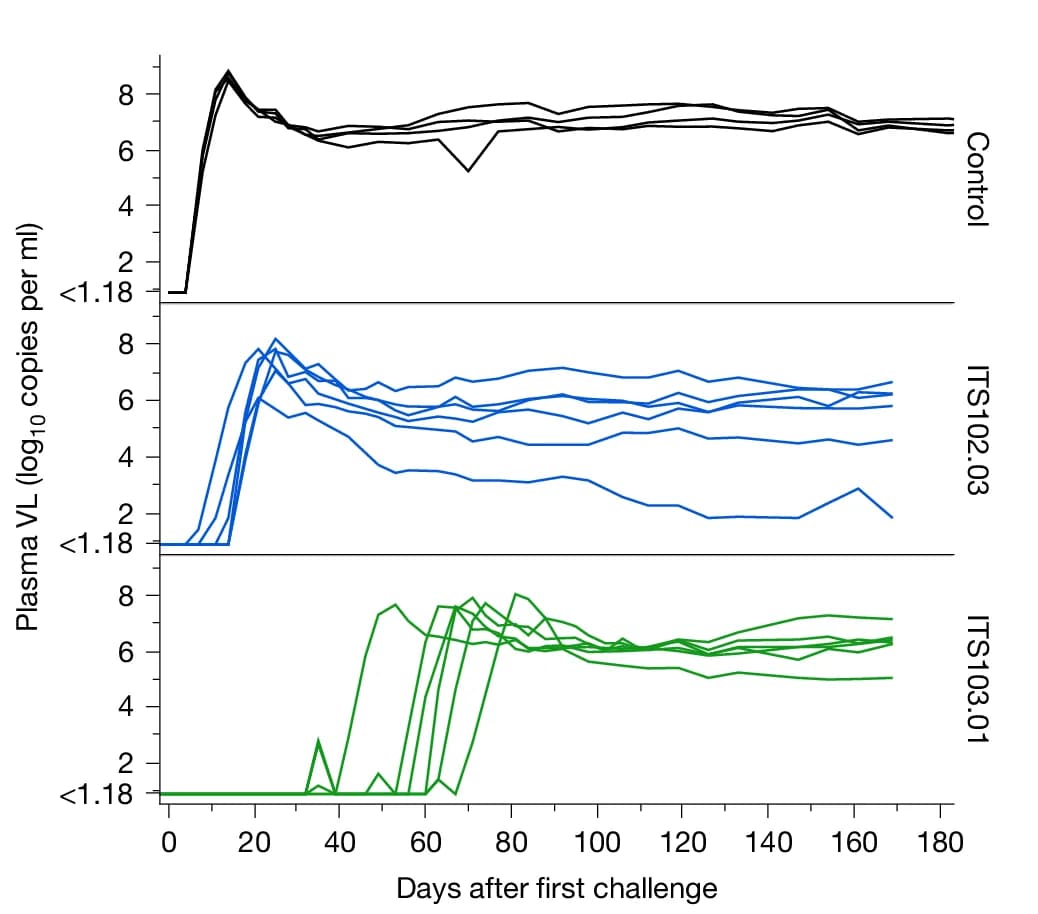Multidimensional Data Excellence: Bubble Plots in Scientific Visualization and Complex Analysis